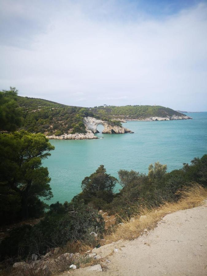 Vieste Holiday Экстерьер фото